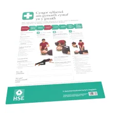 Poster for Basic Health Advice in Welsh